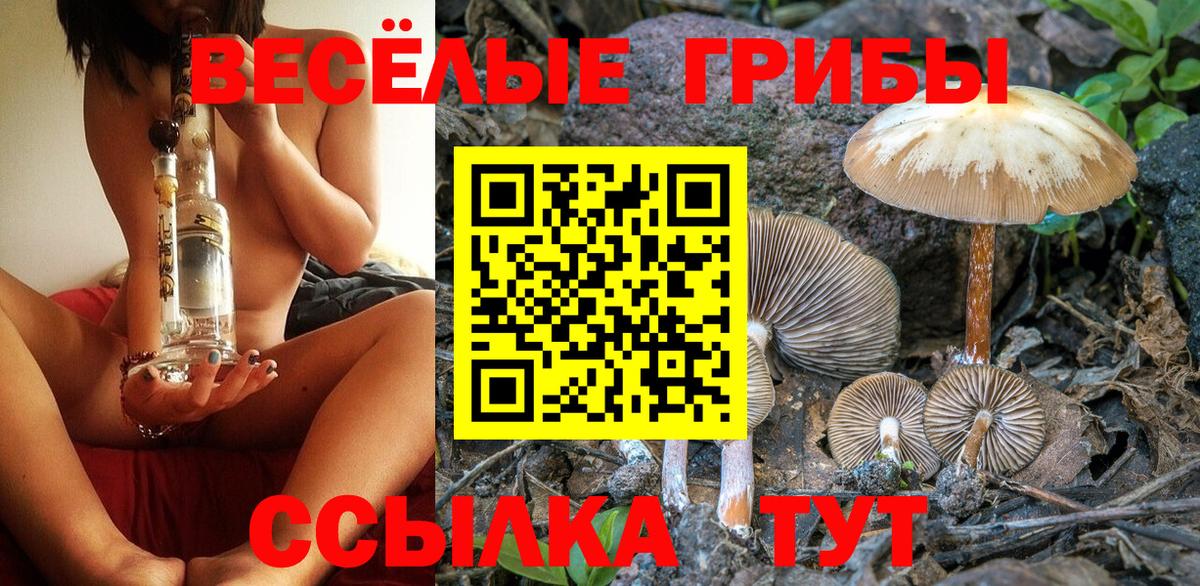 Галлюциногенные грибы мицелий Добрянка