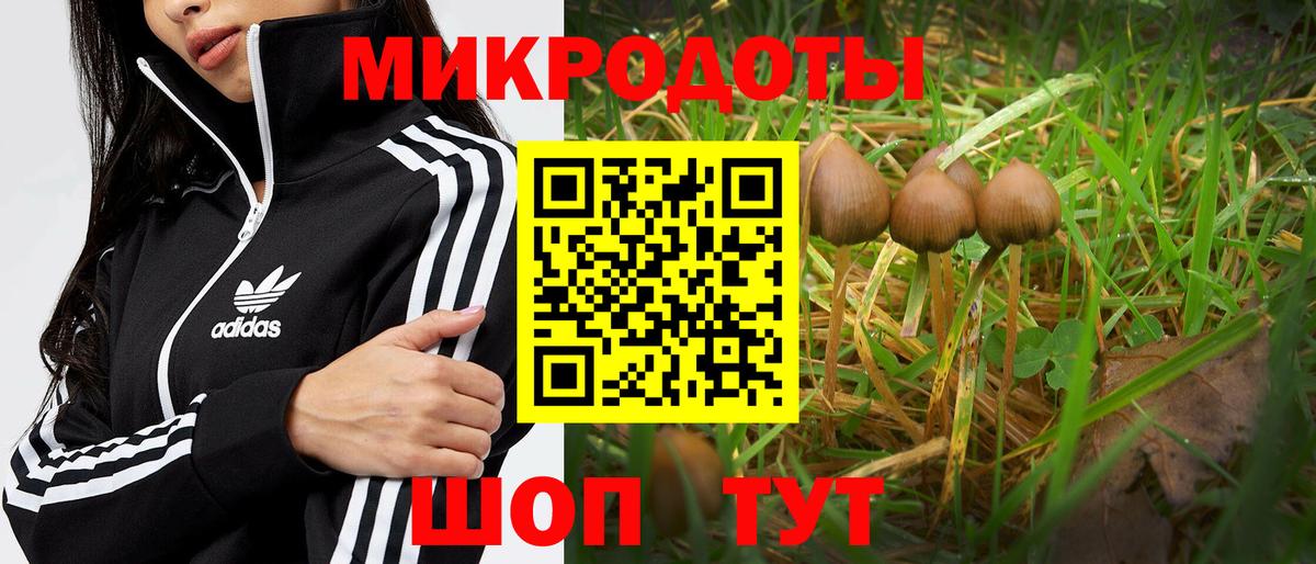 Псилоцибиновые грибы мицелий  Вход с VPN  Псилоцибиновые грибы Cubensis  Добрянка 